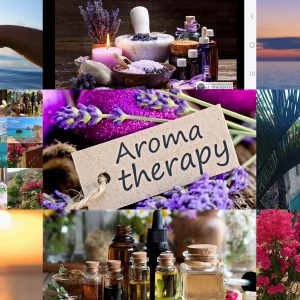 WS-01 / ESSENTIAL OILS WORKSHOP