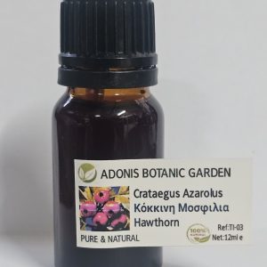 TI-03/CRATAEGUS AZAROLUS